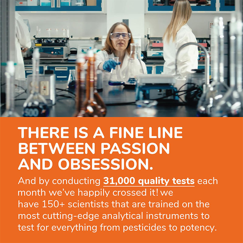 L-Carnitine Capsules